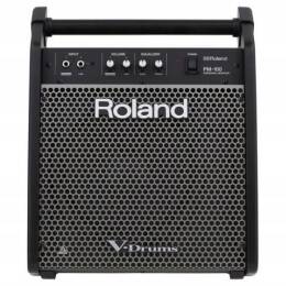 Roland PM-100 monitor 80W do perkusji elektronicznej